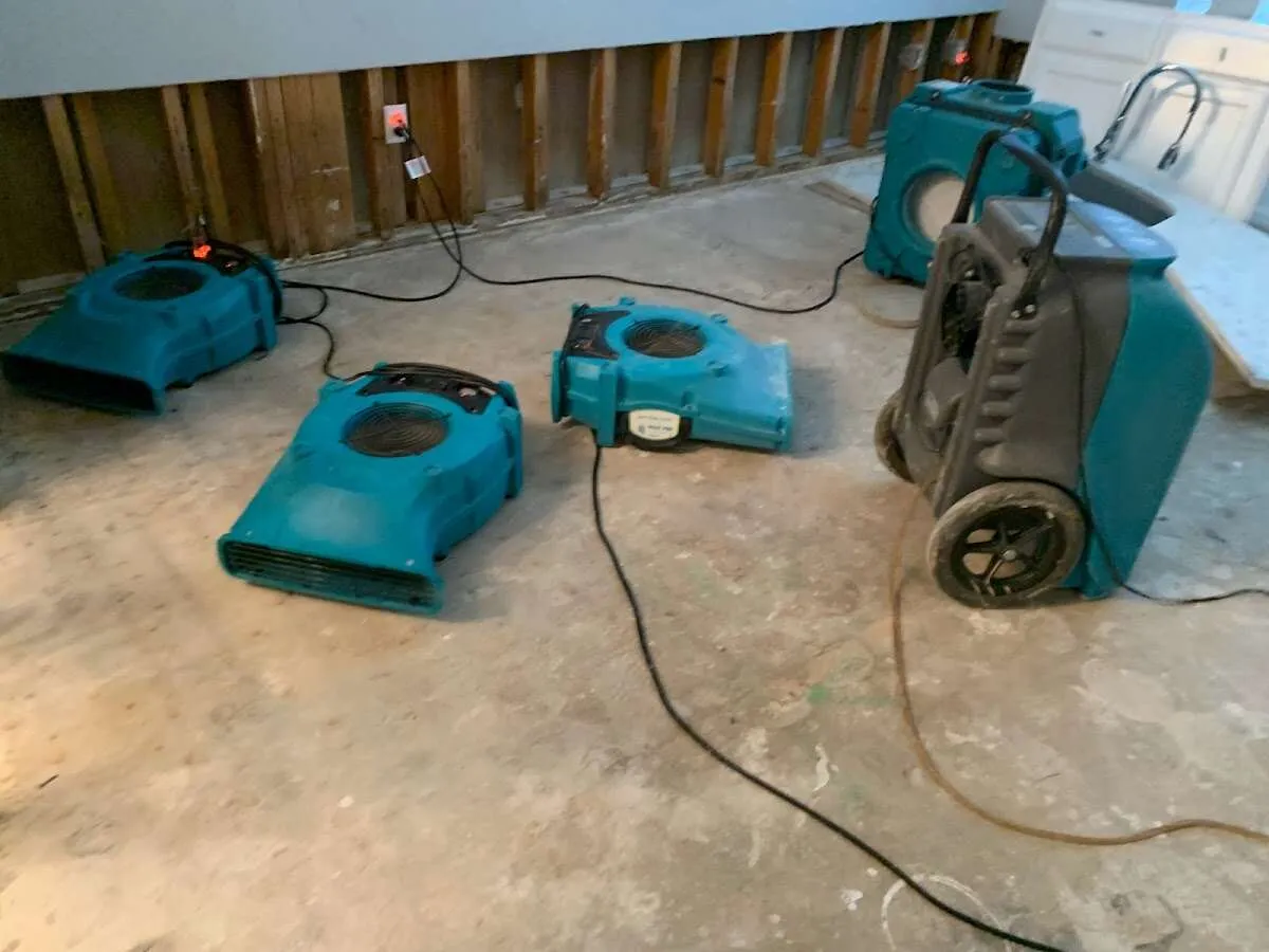 Water Damage Restoration services in Farmington, AR